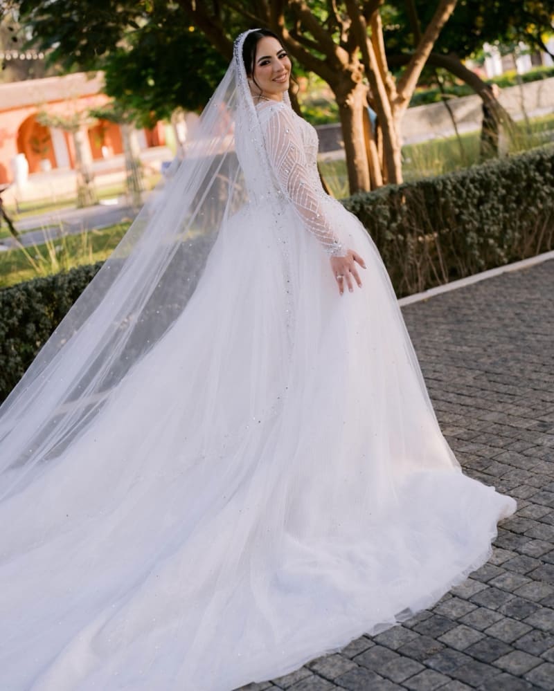 Design 243 5